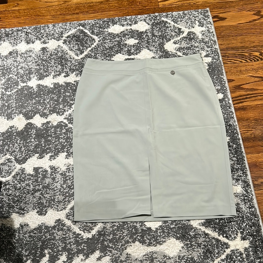 Women’s Skirt The Limited Size 10 color Sage